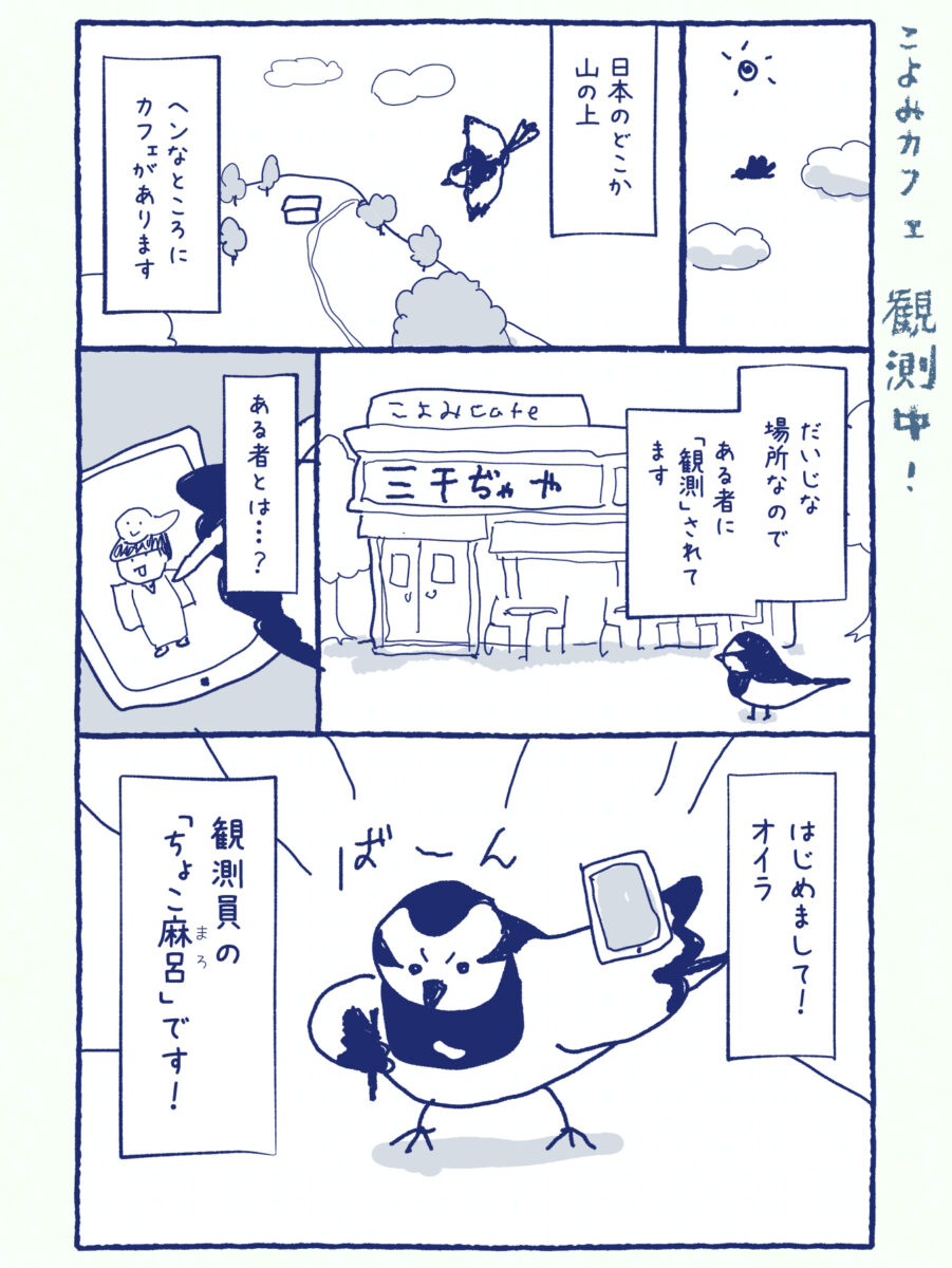 観測レポートかいてみました!